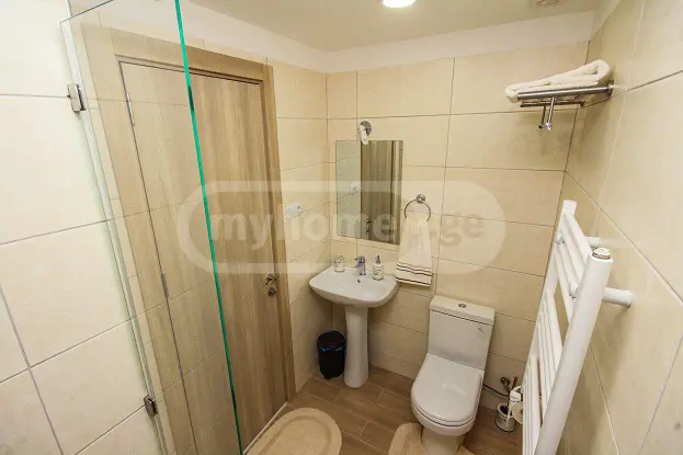 Daily Rent 2 Room Sastumro Bakurianshi, 2 of 10