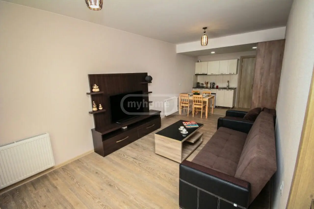 Daily Rent 2 Room Sastumro Bakurianshi, 3 of 10