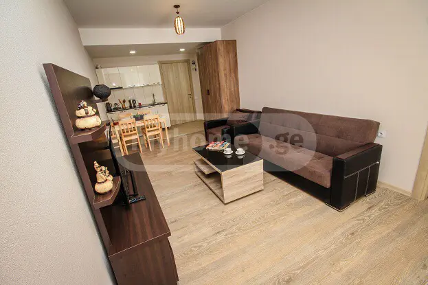 Daily Rent 2 Room Sastumro Bakurianshi, 5 of 10