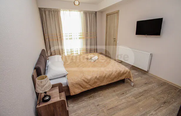 Daily Rent 2 Room Sastumro Bakurianshi, 1 of 10