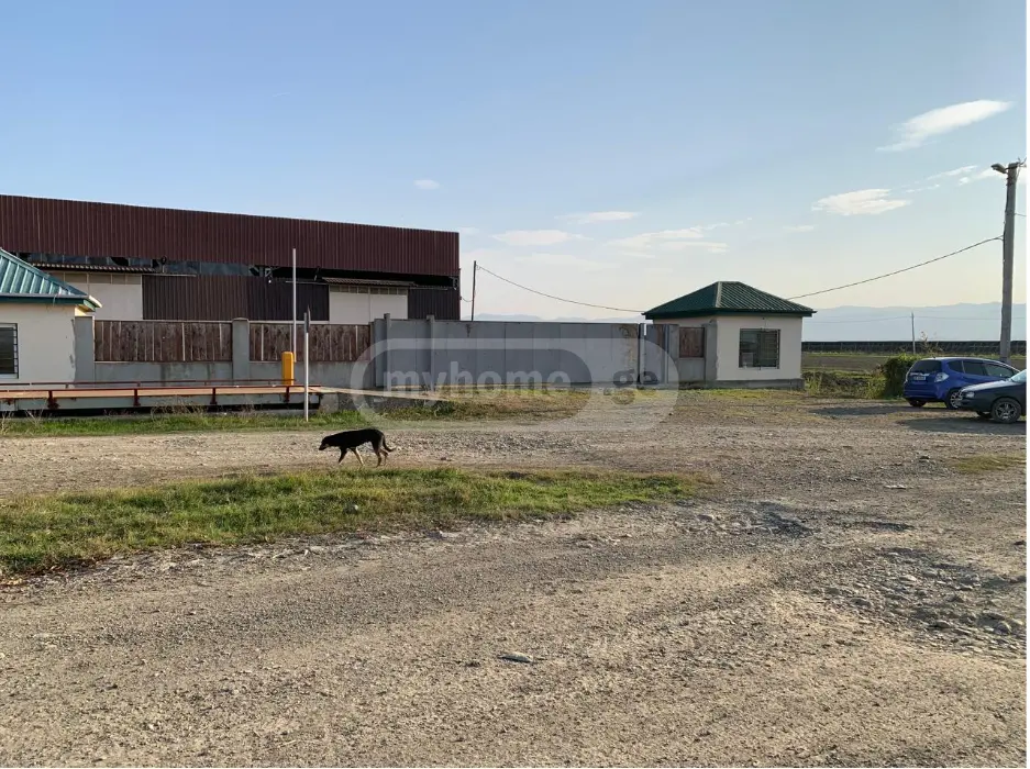 For Sale Mtliani Shenoba Commercial Space Sighnaghshi view 8