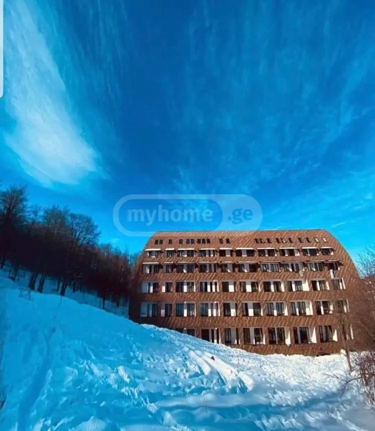 For Rent 2 Room Apartment Bakurianshi, 11 of 12