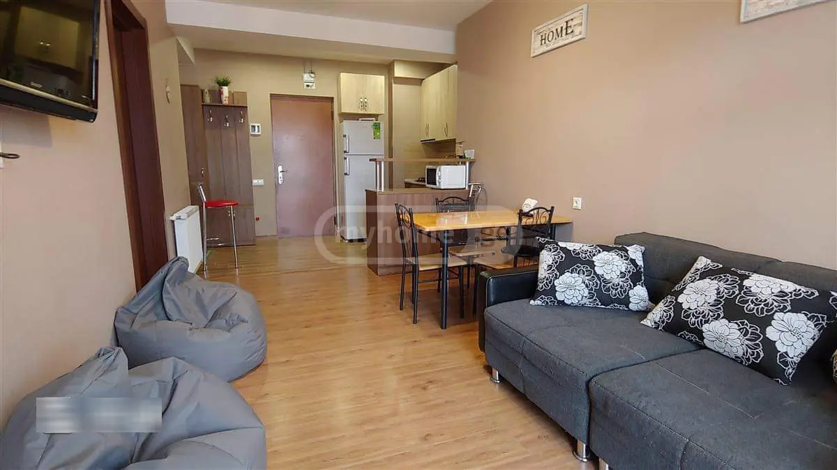 For Rent 2 Room Apartment Bakurianshi, 1 of 12