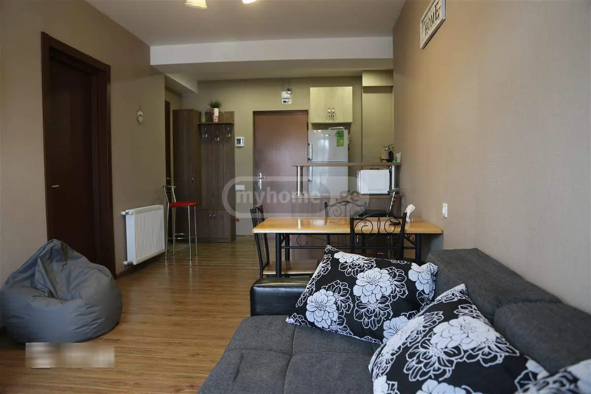 For Rent 2 Room Apartment Bakurianshi, 3 of 12