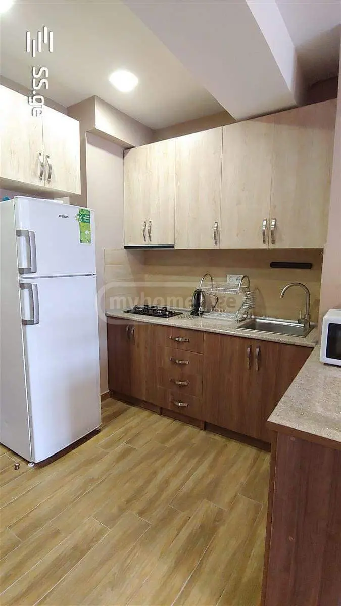 For Rent 2 Room Apartment Bakurianshi, 4 of 12