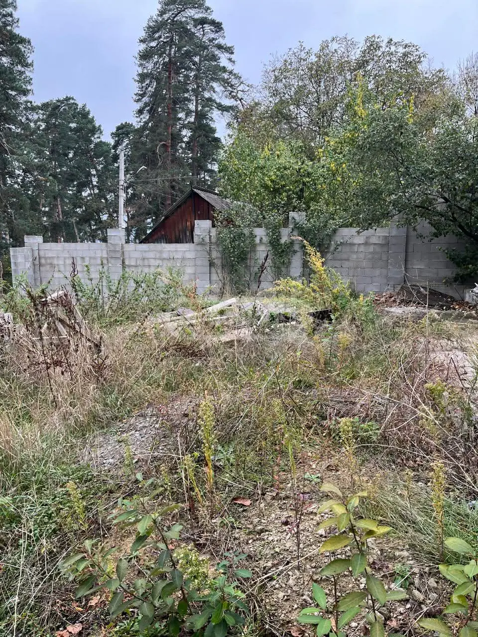 For Sale 5 Room Private House Manglisshi view 14