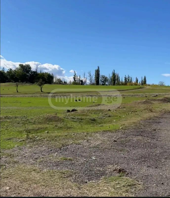 For Sale Ara Sasoplo-Sameurneo Land Plot Liloshi, 2 of 2