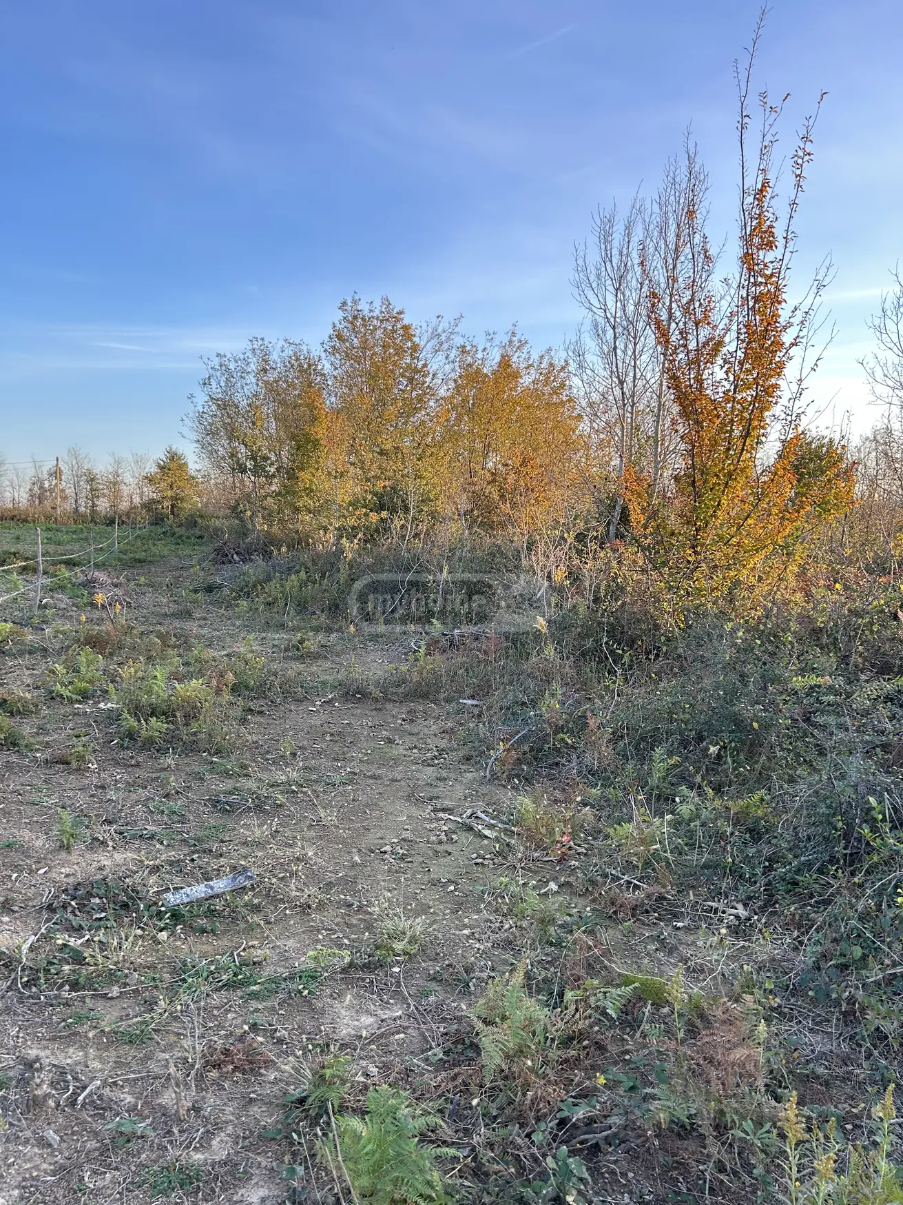 Продажа Земля / участок в Tsqaltubos Munitsipalitetshi view 5
