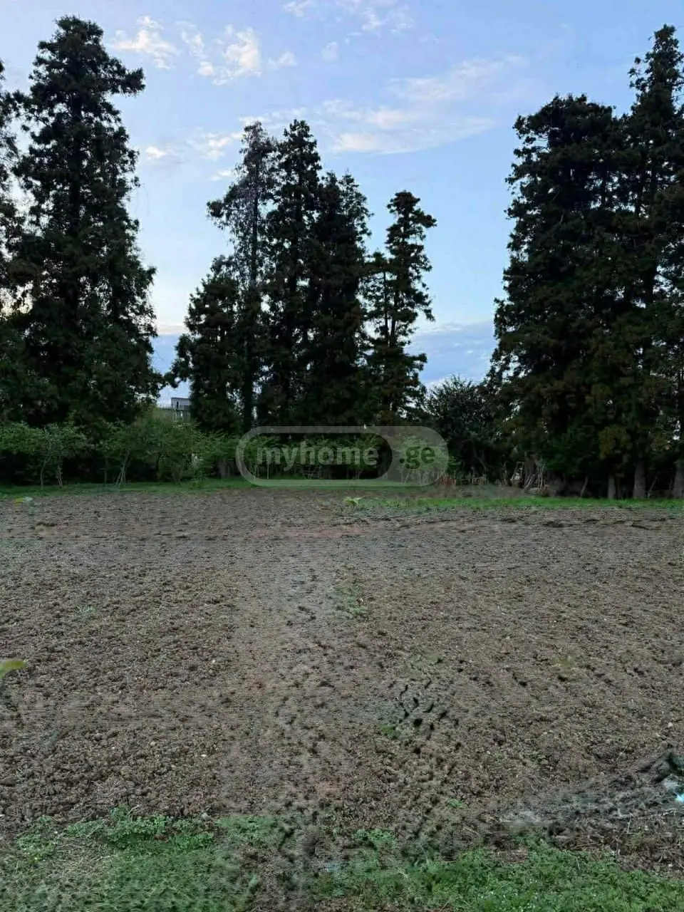 For Sale Komertsiuli Land Plot Khelvachauris Munitsipalitetshi view 4