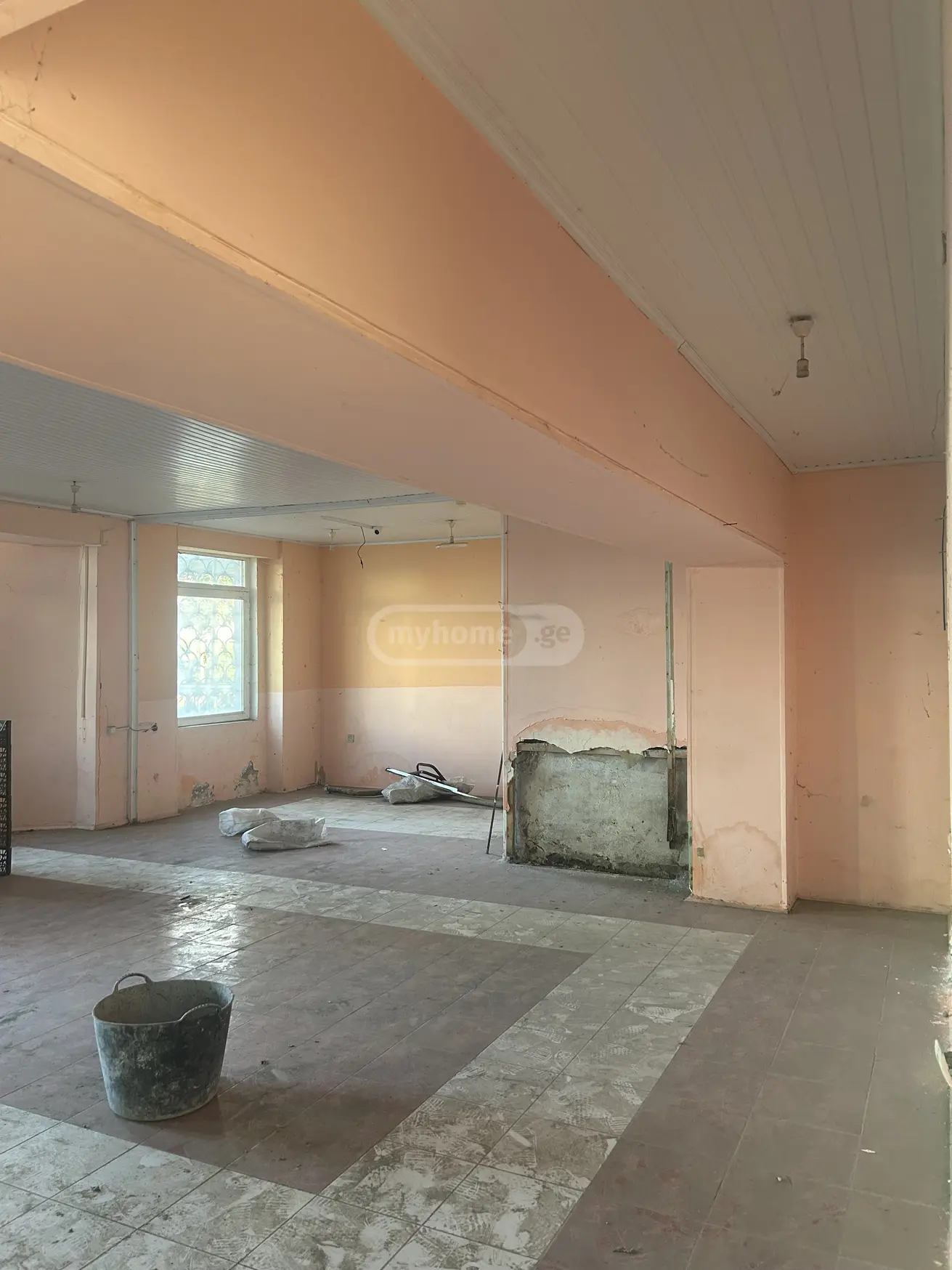 For Rent Spetsialuri Commercial Space Potshi view 4