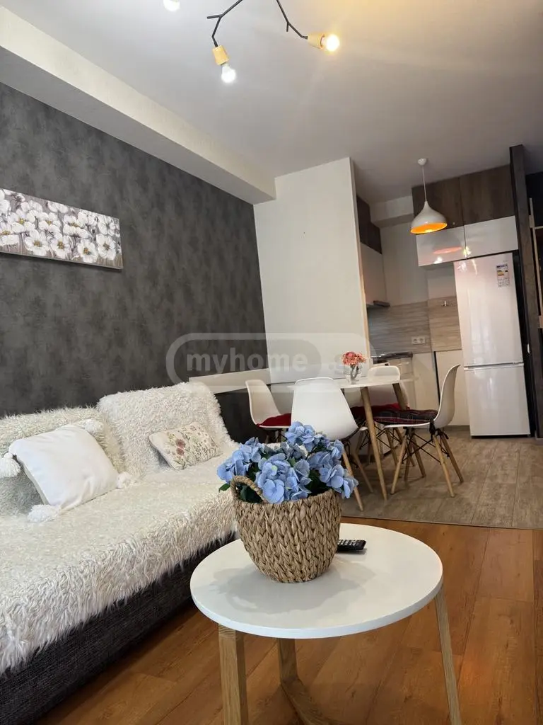For Rent 2 Room Apartment Bakurianshi, 3 of 12