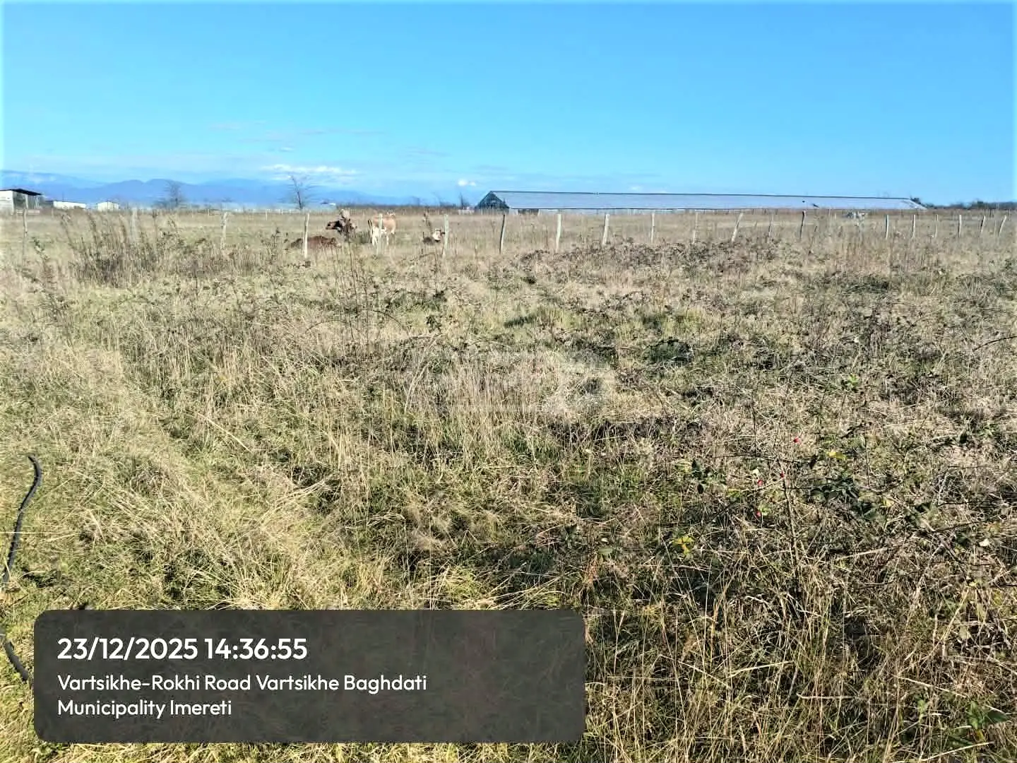 For Sale Sasoplo-Sameurneo Land Plot Baghdatshi view 4