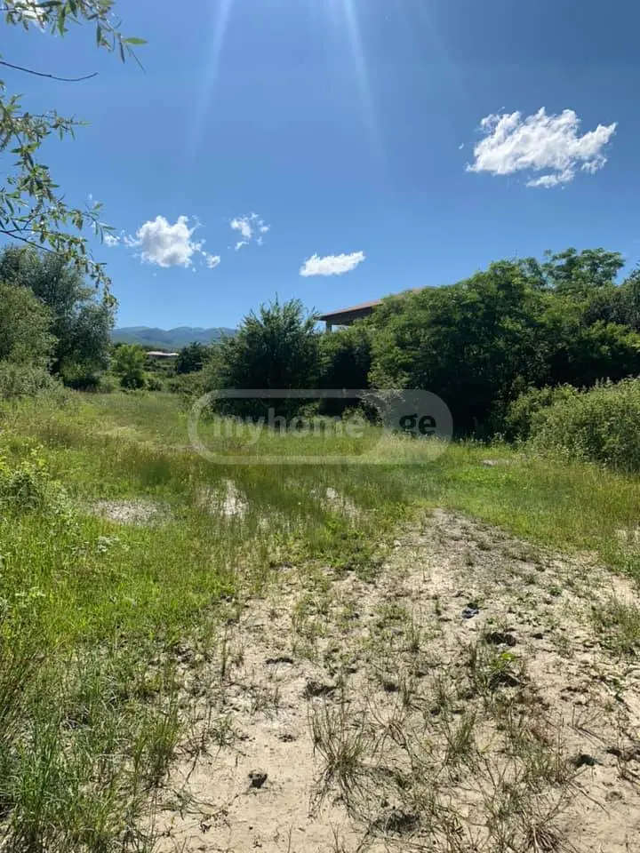 For Sale Mtliani Shenoba Commercial Space Telavis Munitsipalitetshi view 2