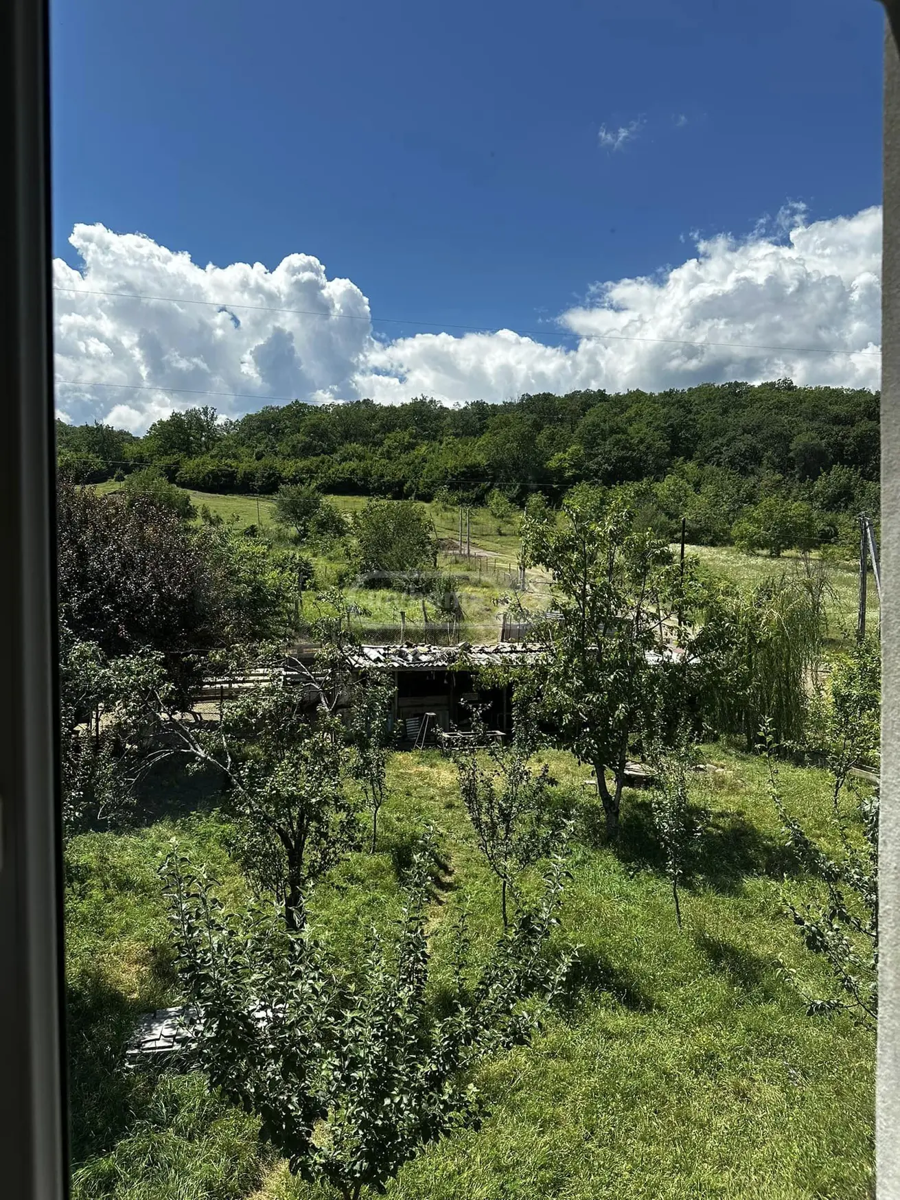 For Sale 6 Room Private House Telavis Munitsipalitetshi view 11