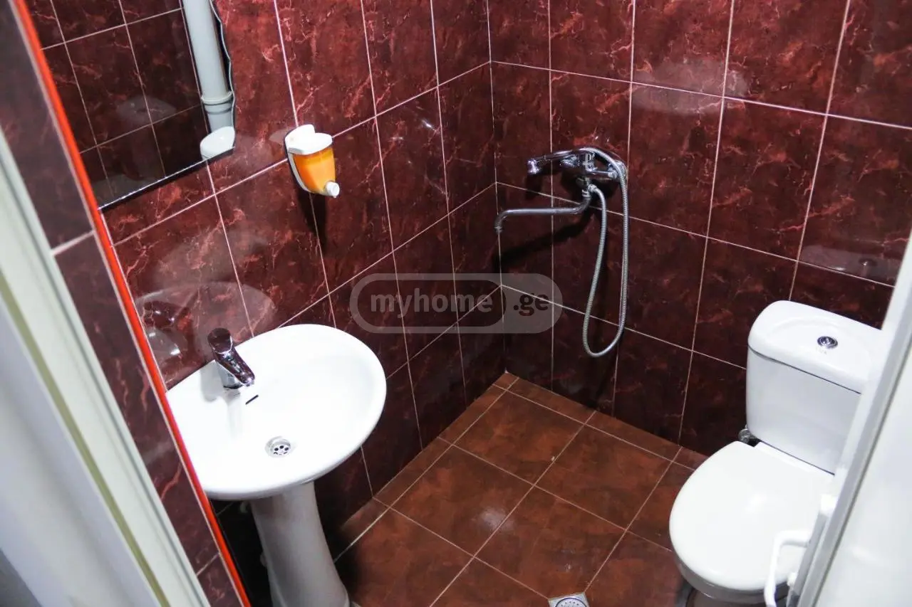 Daily Rent 10+ Room Sastumro Varketilshi, 6 of 6