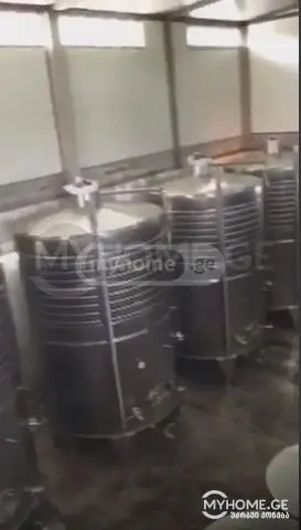 For Sale Satsarmoo Commercial Space Sagarejoshi view 6
