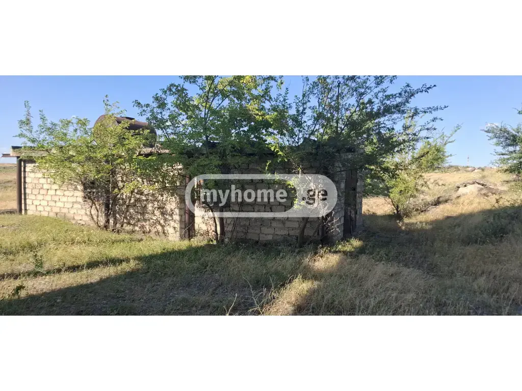 For Sale Satsarmoo Commercial Space Rustavshi, 4 of 6