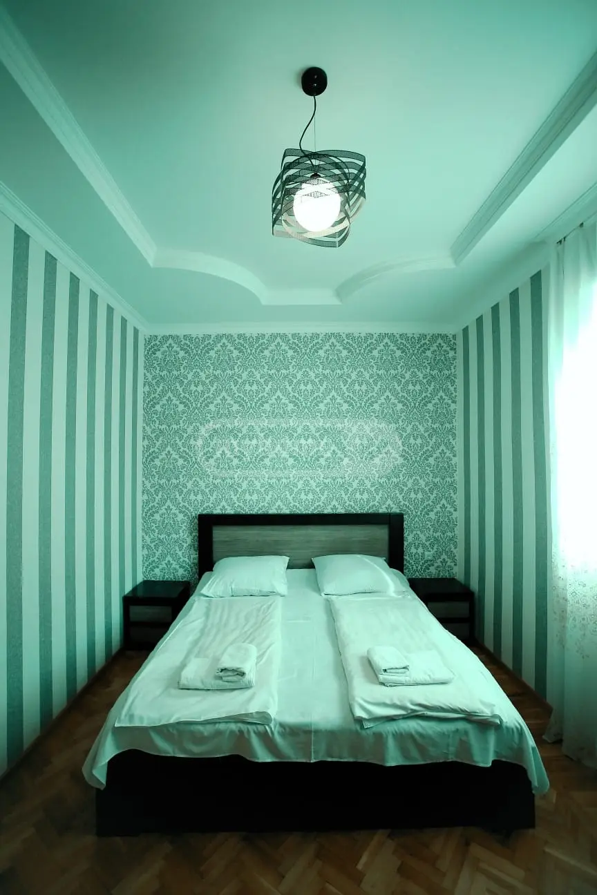 Daily Rent 8 Room Apartment Kutaisshi view 11