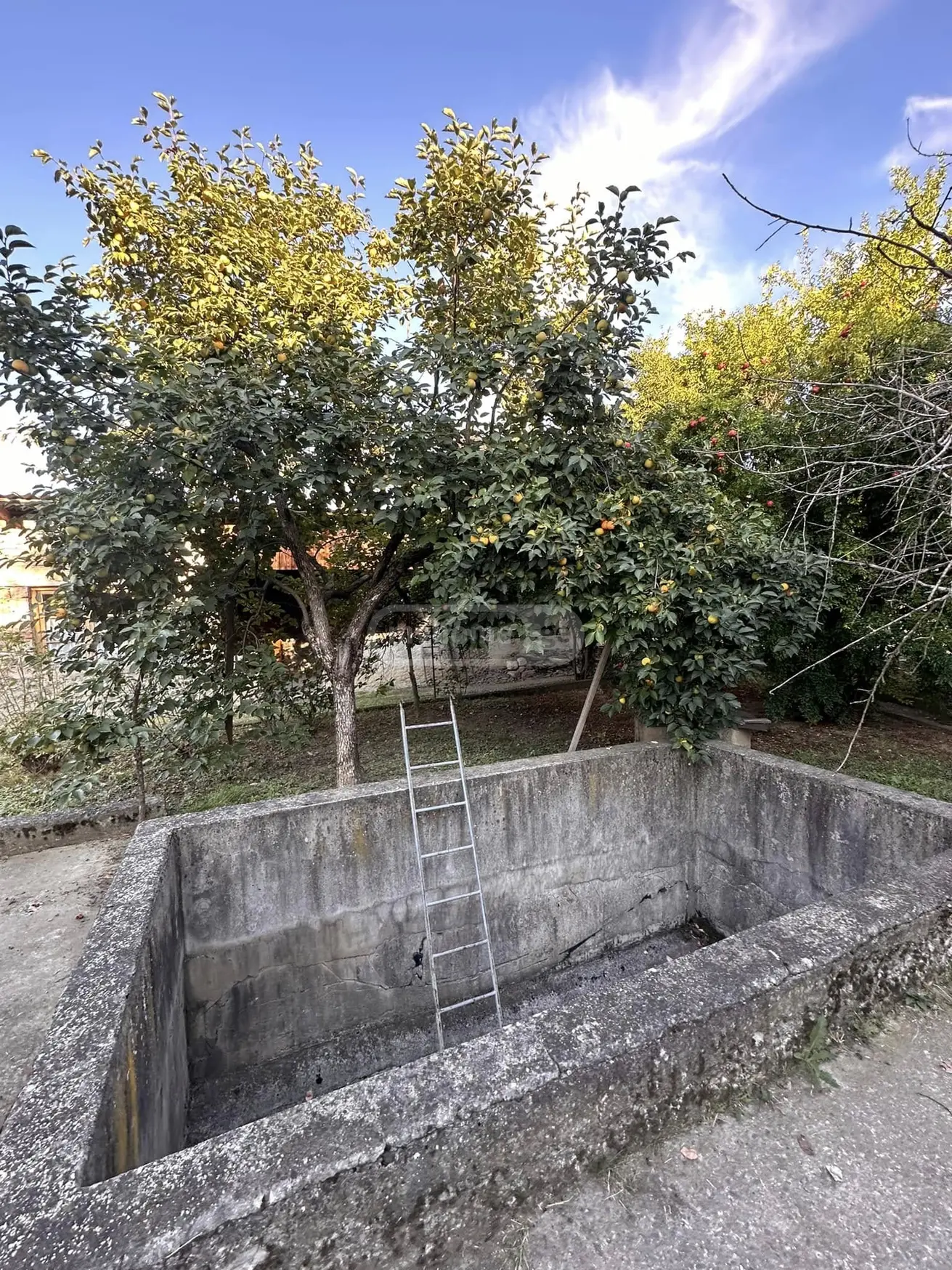 For Sale 10+ Room Private House Telavis Munitsipalitetshi view 11