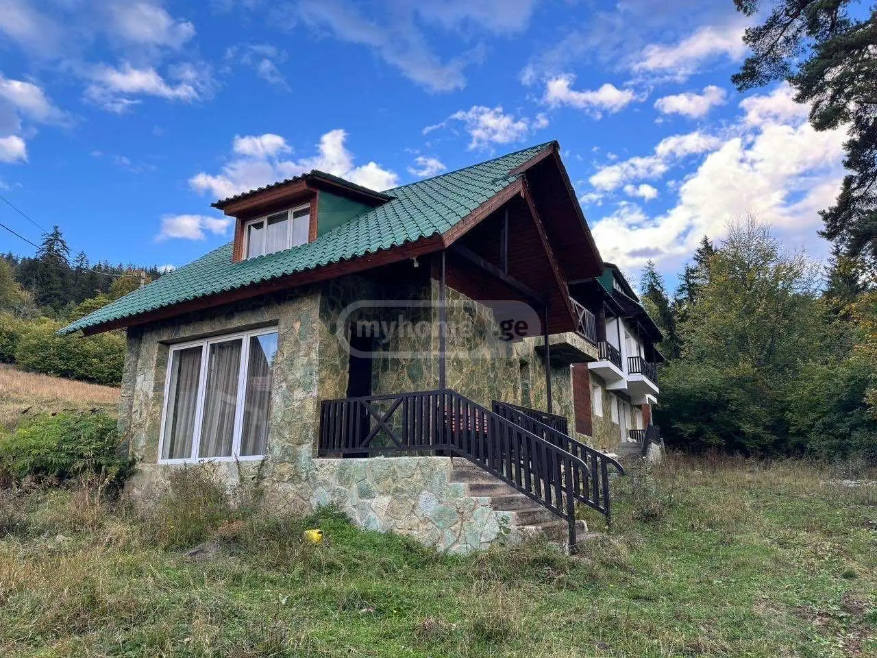 For Sale 5 Room Country House Borjomis Munitsipalitetshi view 3
