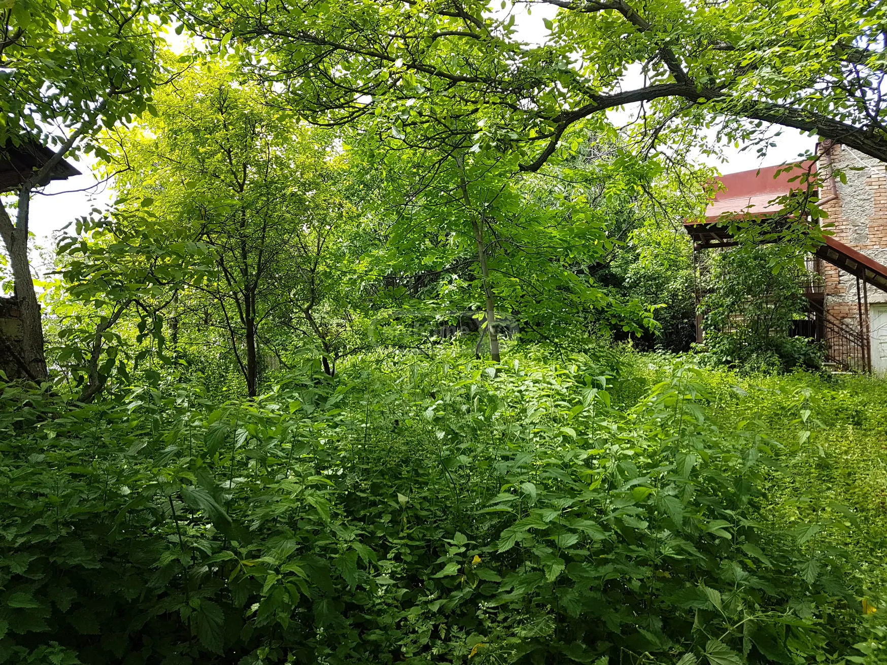 For Sale 4 Room Private House Sagarejos Munitsipalitetshi view 3