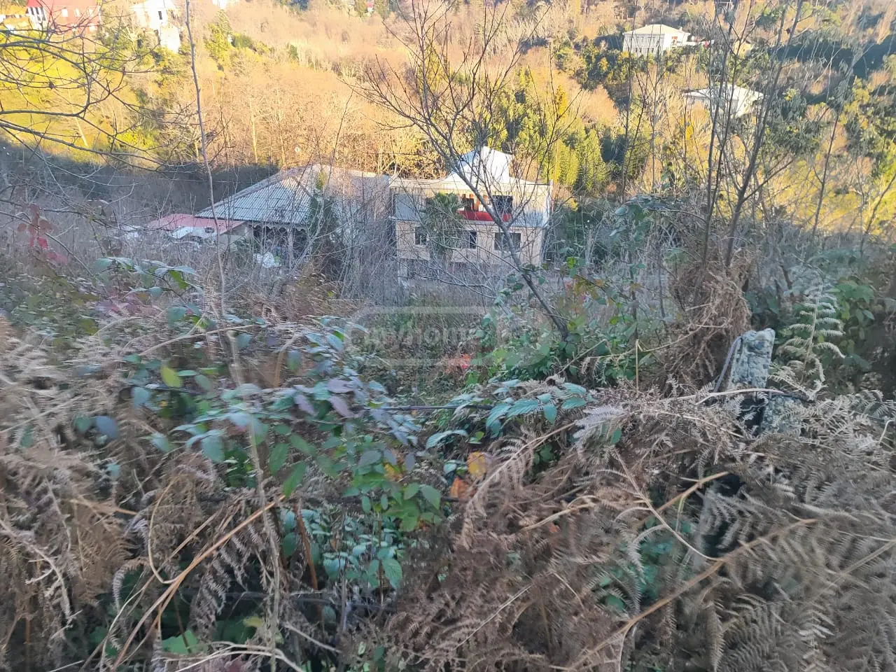 For Sale Ara Sasoplo-Sameurneo Land Plot Kobuletis Munitsipalitetshi view 1