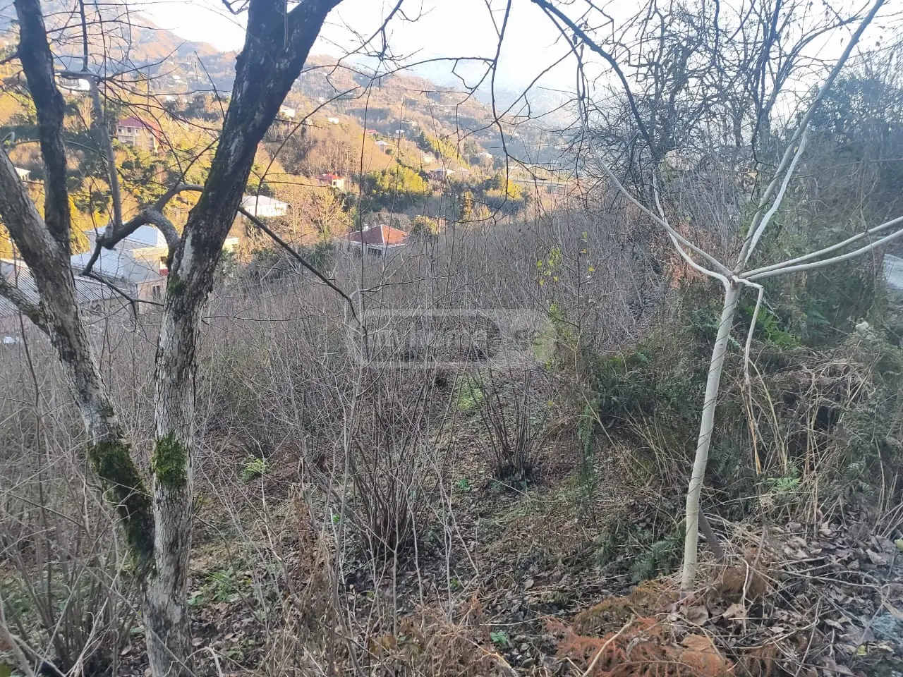 For Sale Ara Sasoplo-Sameurneo Land Plot Kobuletis Munitsipalitetshi view 5