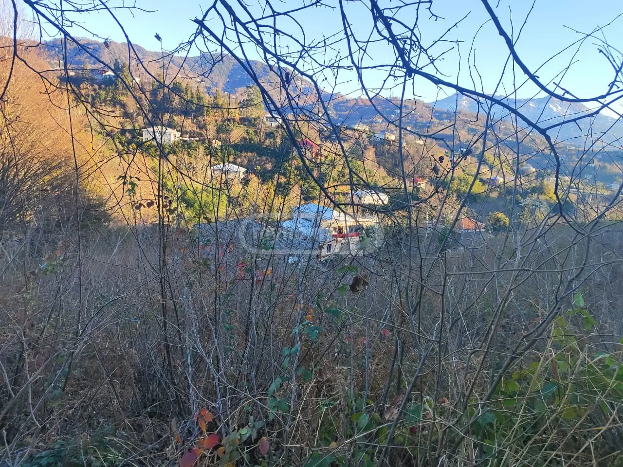For Sale Ara Sasoplo-Sameurneo Land Plot Kobuletis Munitsipalitetshi view 3