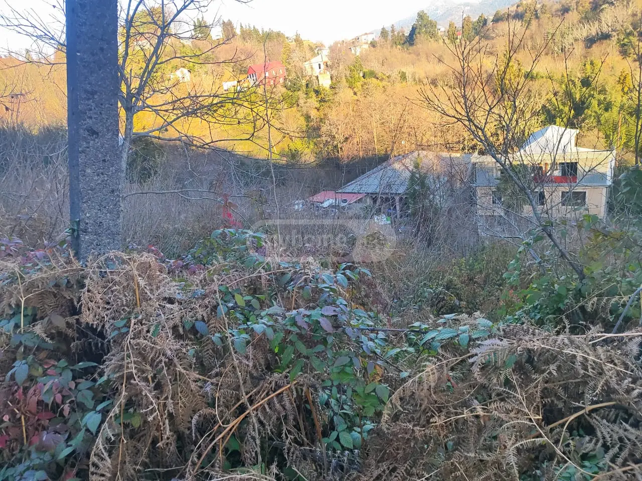 For Sale Ara Sasoplo-Sameurneo Land Plot Kobuletis Munitsipalitetshi view 4