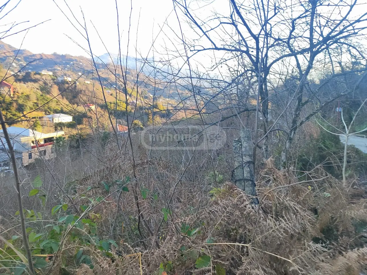 For Sale Ara Sasoplo-Sameurneo Land Plot Kobuletis Munitsipalitetshi view 6
