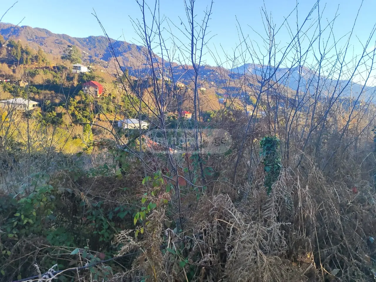 For Sale Ara Sasoplo-Sameurneo Land Plot Kobuletis Munitsipalitetshi view 7