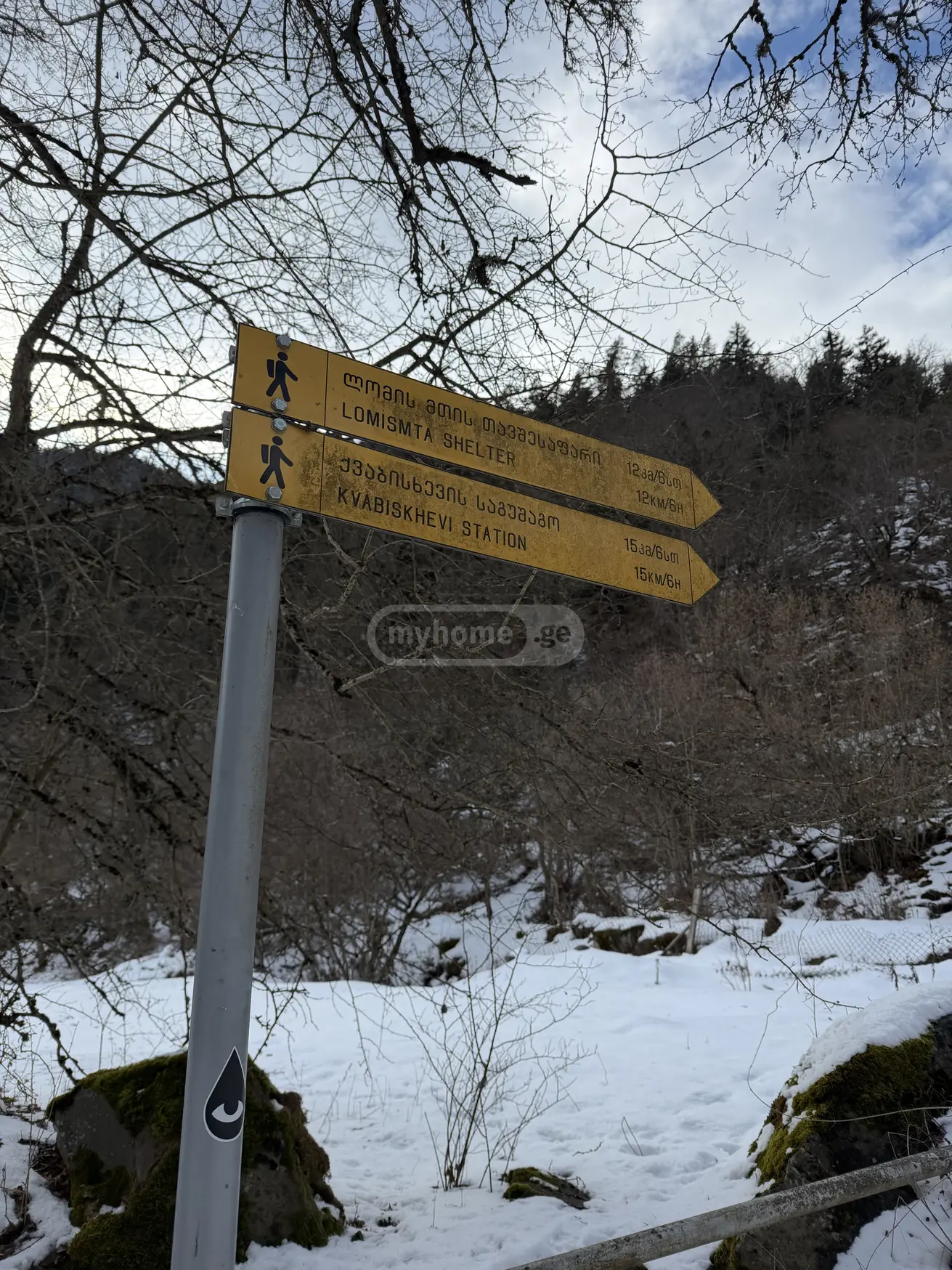 For Sale Sasoplo-Sameurneo Land Plot Borjomis Munitsipalitetshi view 7