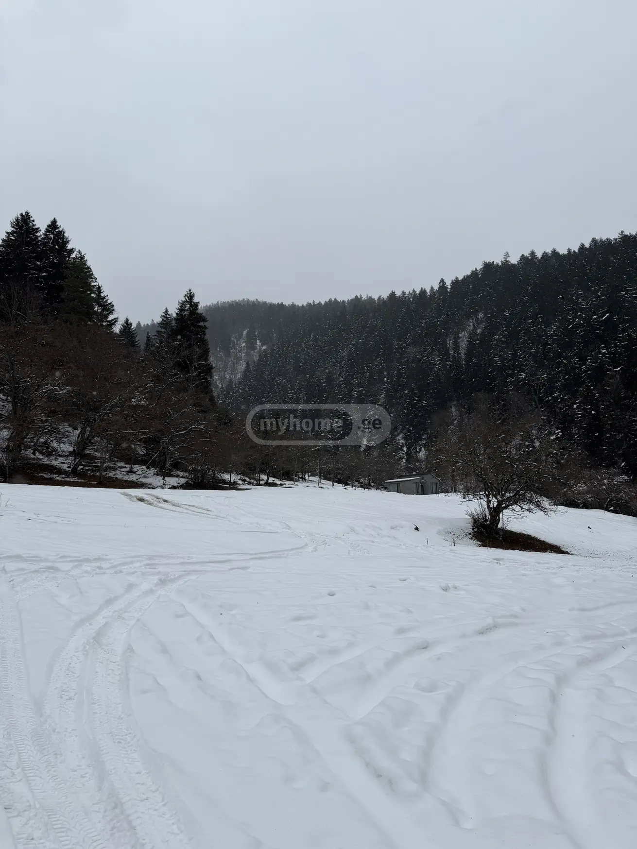 For Sale Sasoplo-Sameurneo Land Plot Borjomis Munitsipalitetshi view 5
