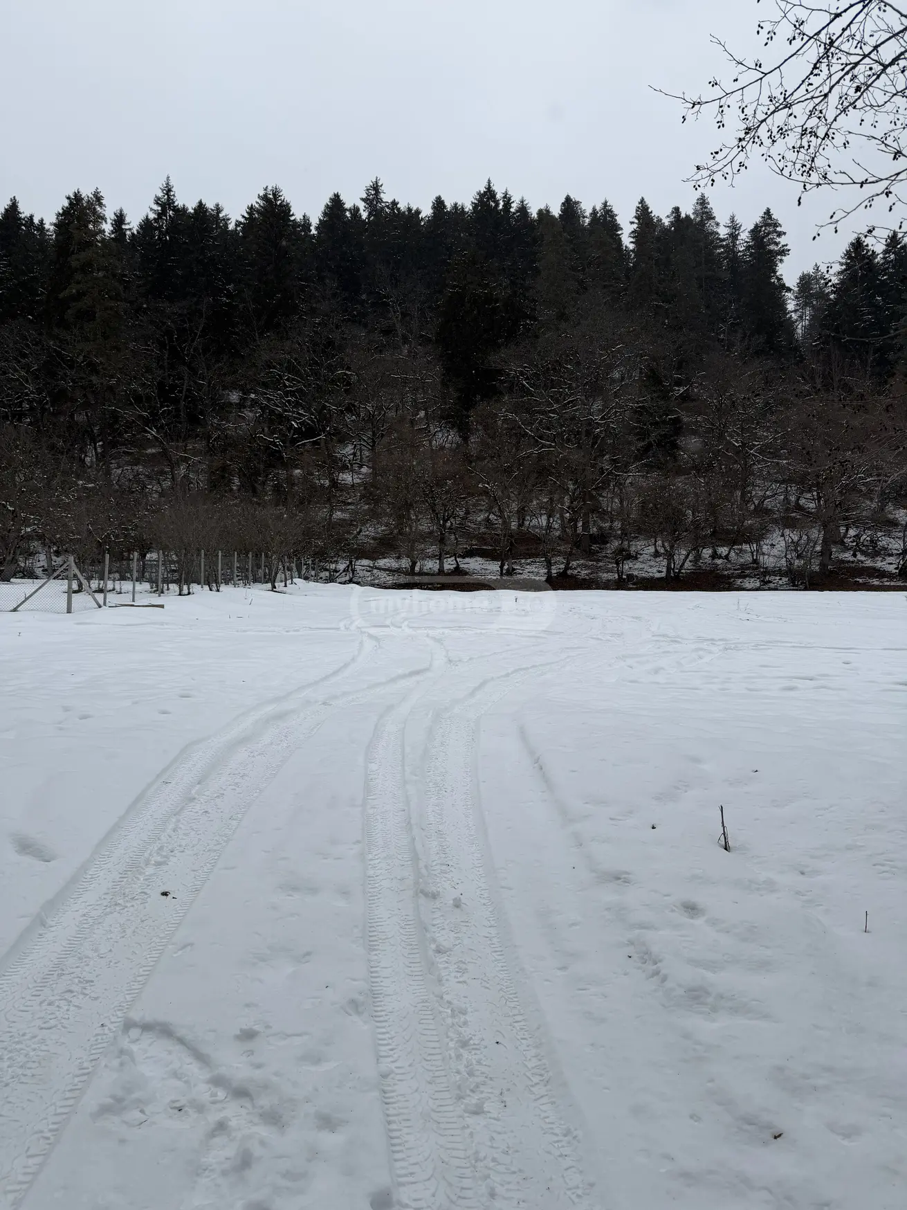 For Sale Sasoplo-Sameurneo Land Plot Borjomis Munitsipalitetshi view 4
