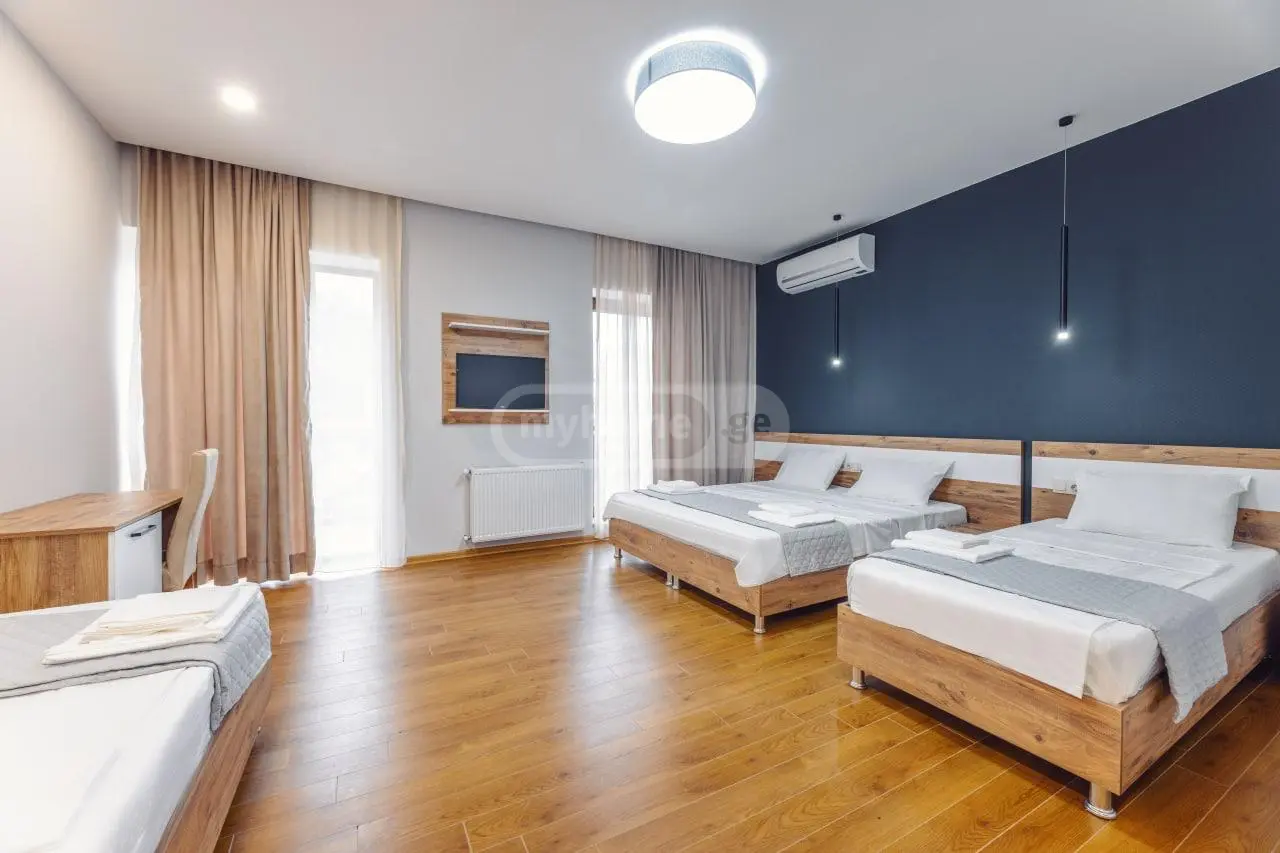 For Sale 10+ Room Sastumro Borjomshi view 5