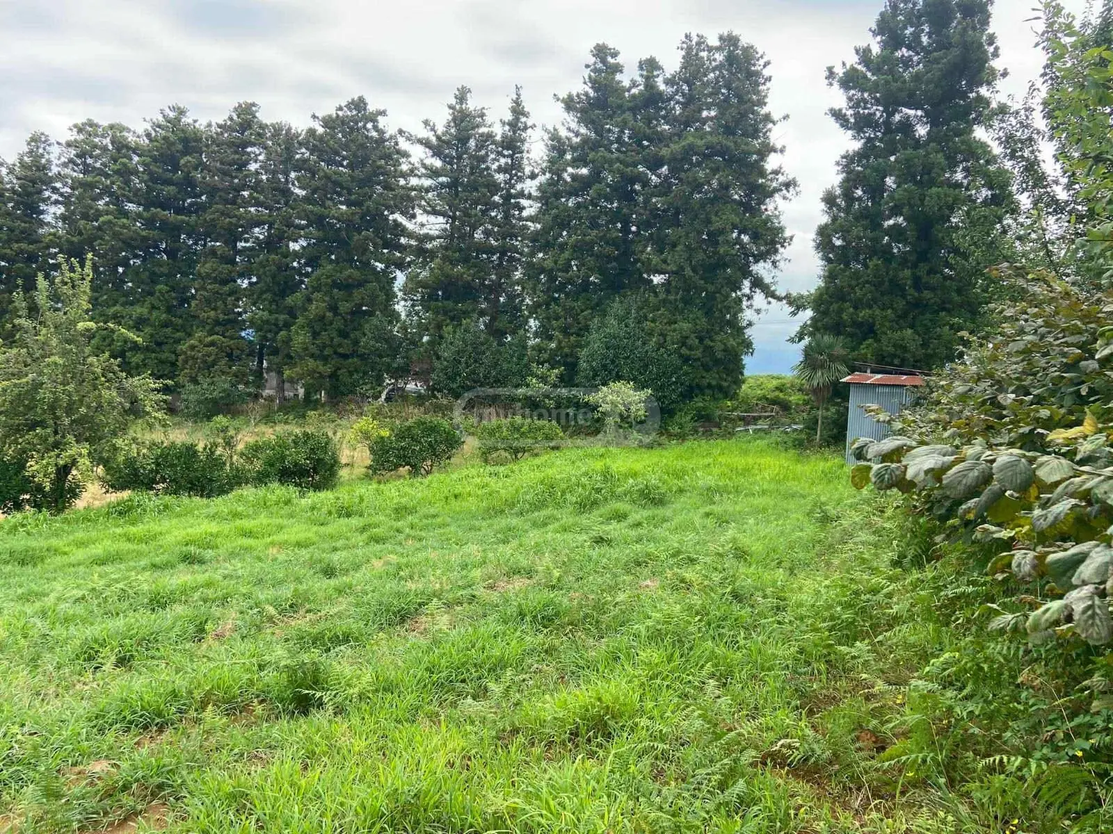 For Sale Sasoplo-Sameurneo Land Plot Khelvachauris Munitsipalitetshi view 1