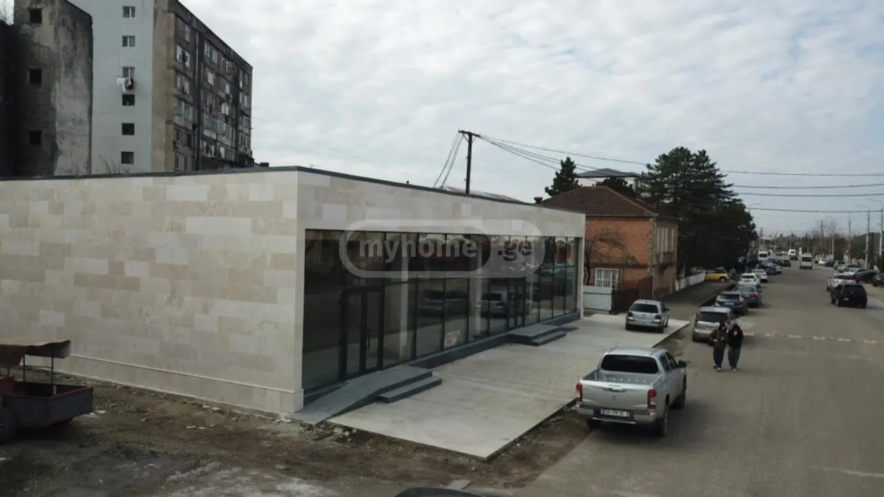 For Sale Mtliani Shenoba Commercial Space Samtrediashi view 2