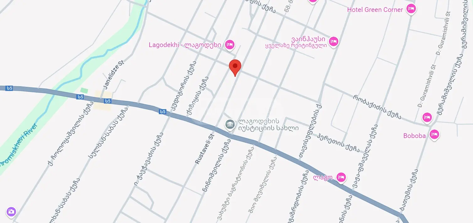 For Sale Saopise Commercial Space Lagodekhshi view 9