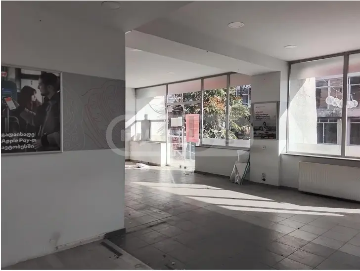 For Sale Saopise Commercial Space Lagodekhshi view 7