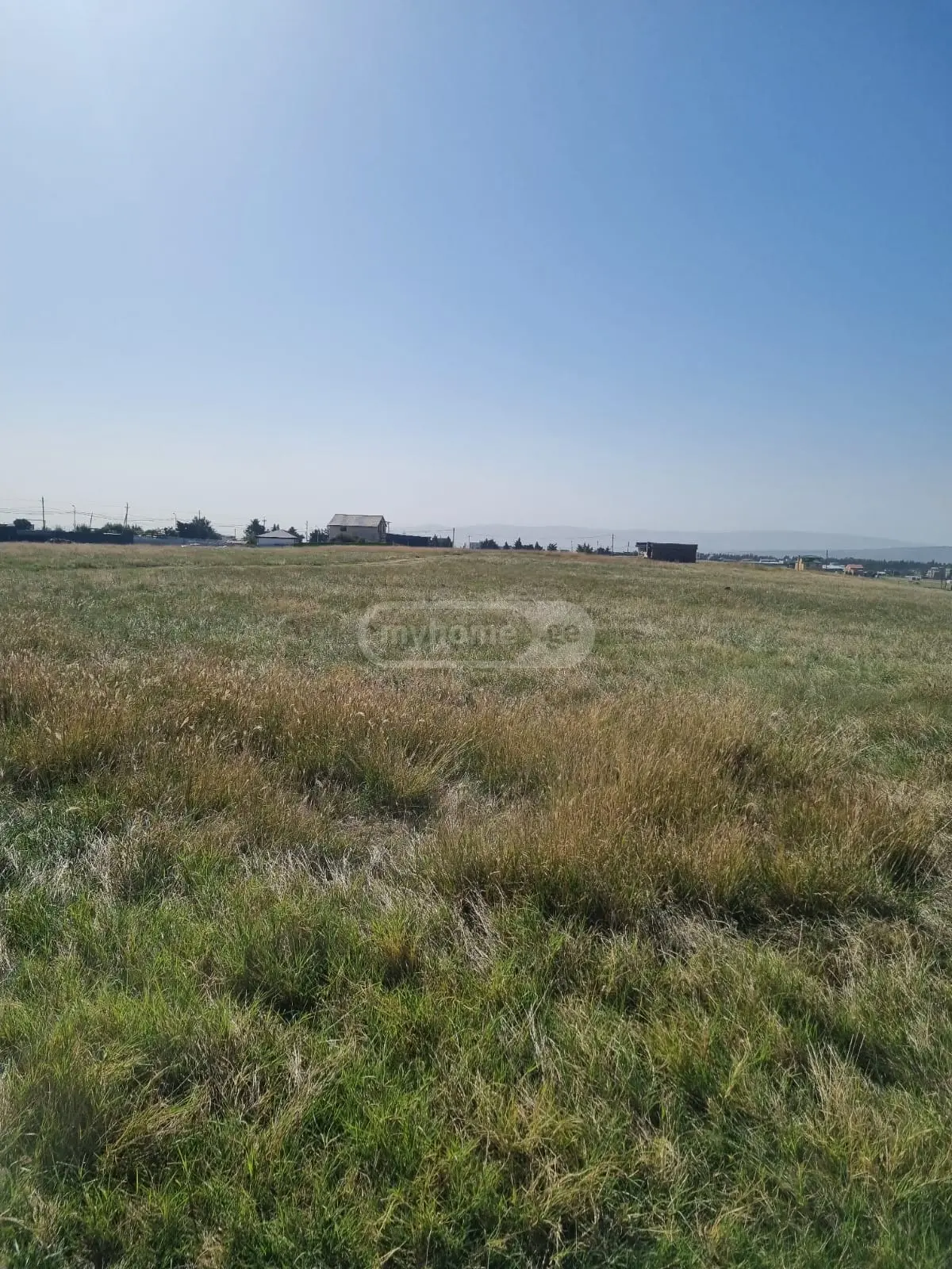 For Sale Sasoplo-Sameurneo Land Plot Tbilisis Zghvaze, 2 of 8
