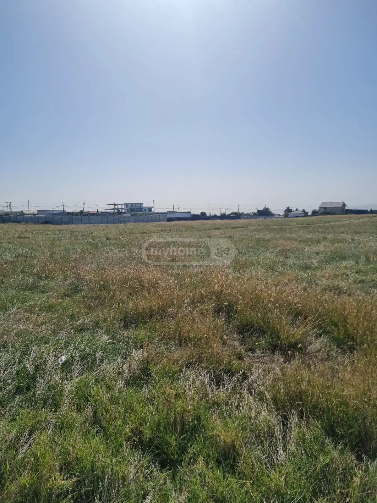 For Sale Sasoplo-Sameurneo Land Plot Tbilisis Zghvaze, 5 of 8