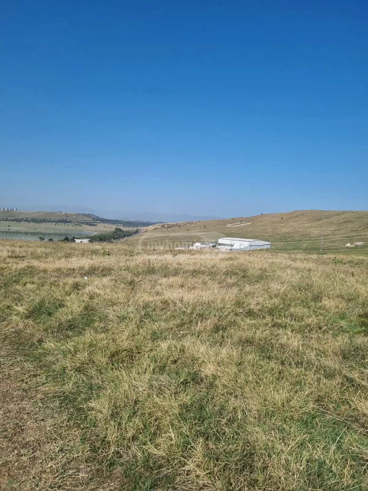 For Sale Sasoplo-Sameurneo Land Plot Tbilisis Zghvaze, 4 of 8
