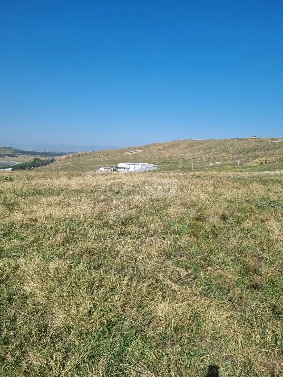 For Sale Sasoplo-Sameurneo Land Plot Tbilisis Zghvaze, 8 of 8