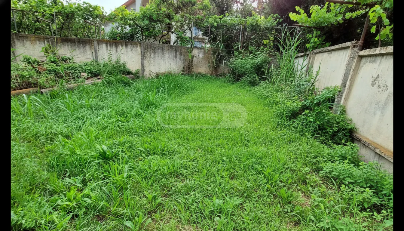 For Sale Sasoplo-Sameurneo Land Plot In Didi Dighomi, 5 of 12