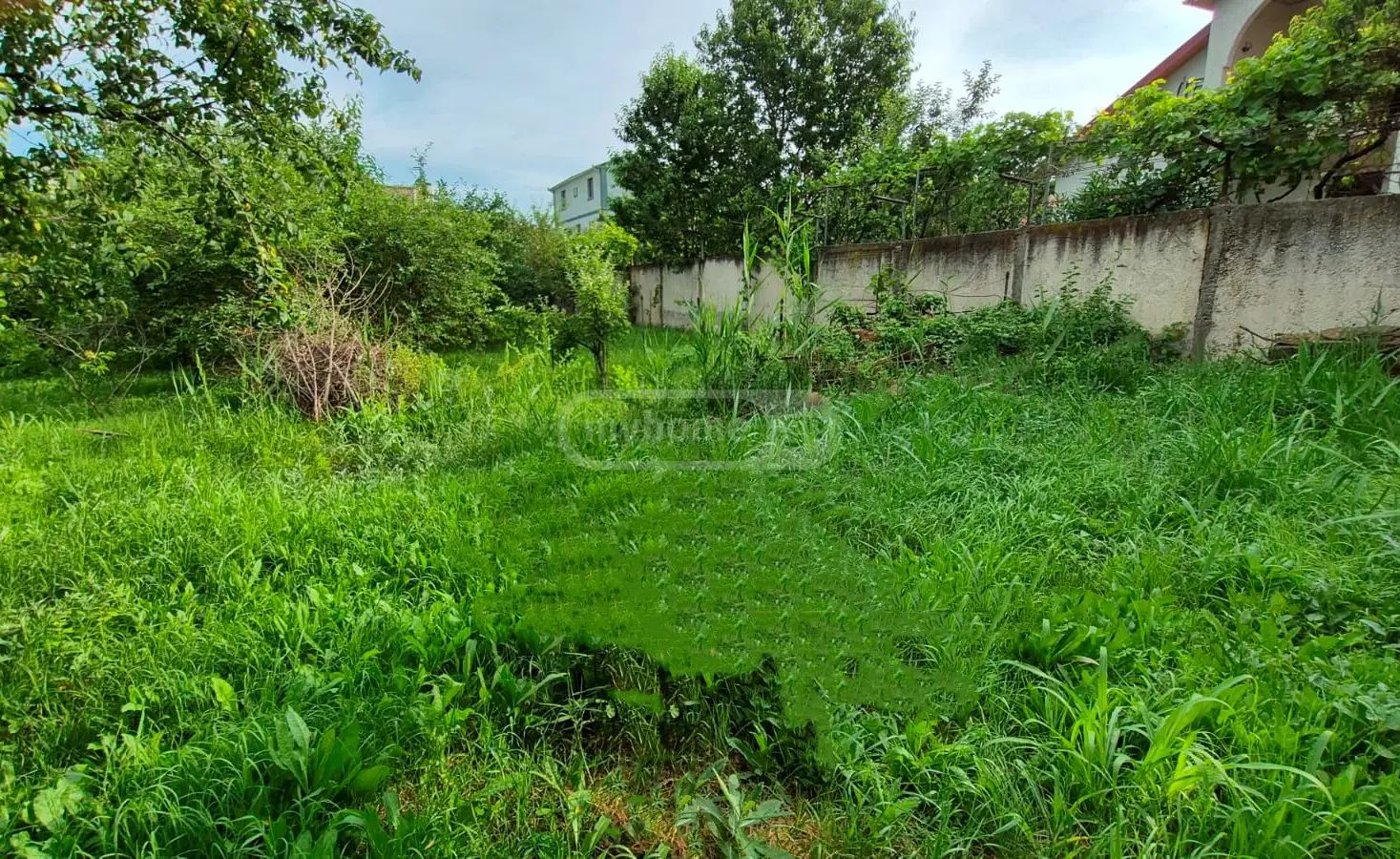 For Sale Sasoplo-Sameurneo Land Plot In Didi Dighomi, 7 of 12
