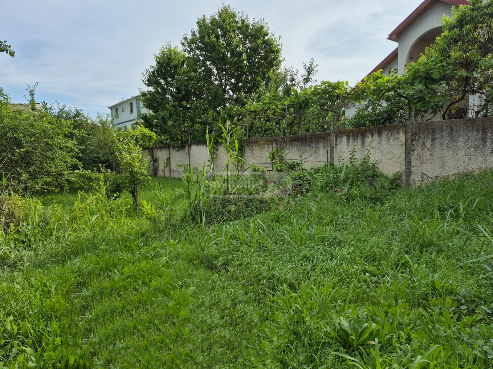 For Sale Sasoplo-Sameurneo Land Plot In Didi Dighomi, 6 of 12