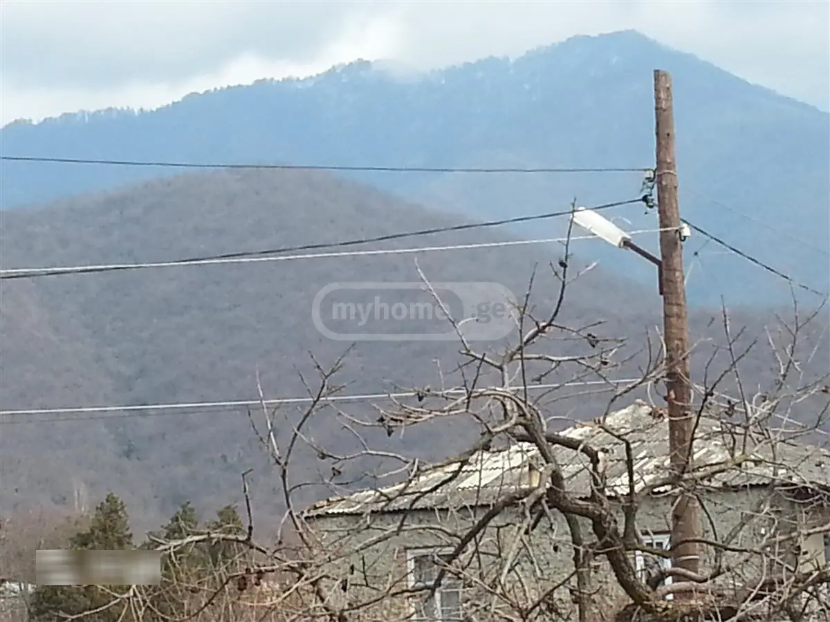 For Sale 5 Room Private House Qvarelshi view 6