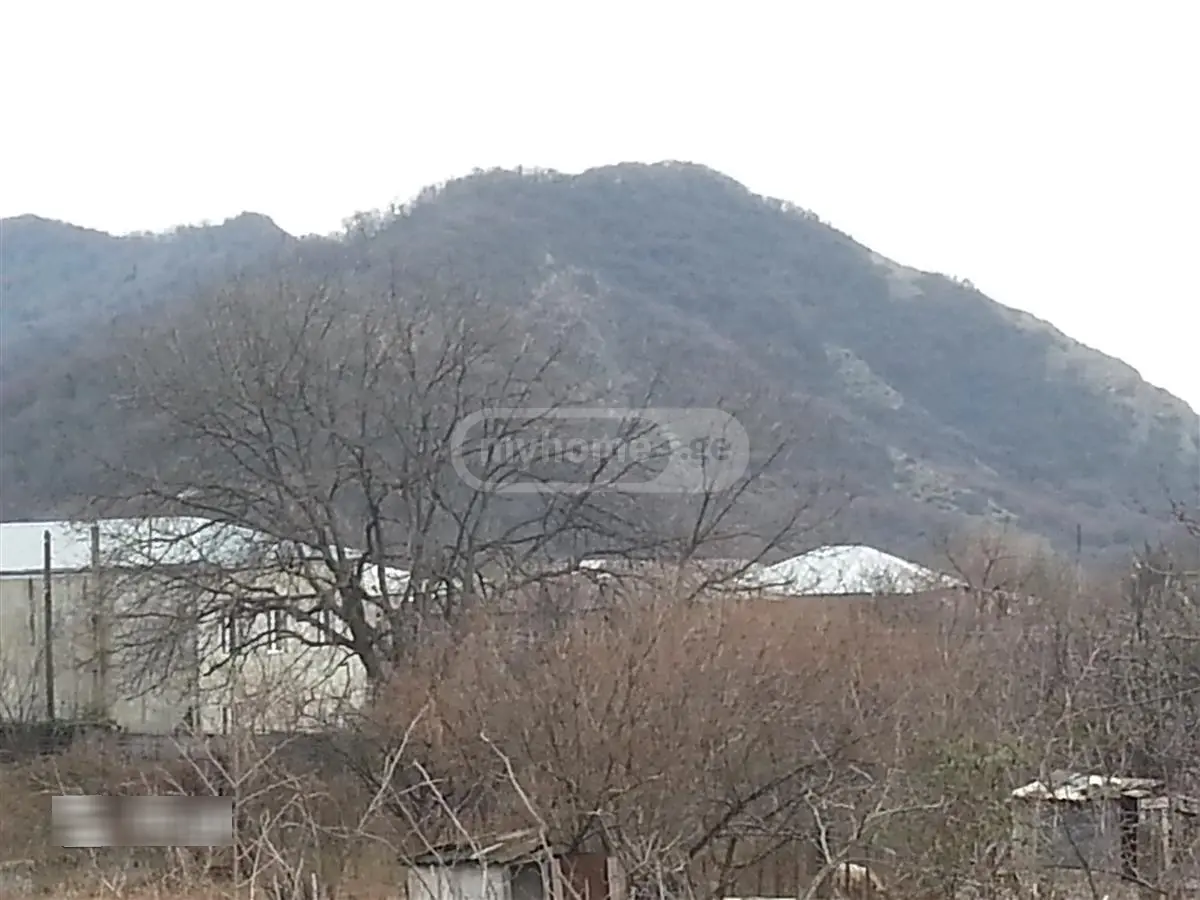 For Sale 5 Room Private House Qvarelshi view 11
