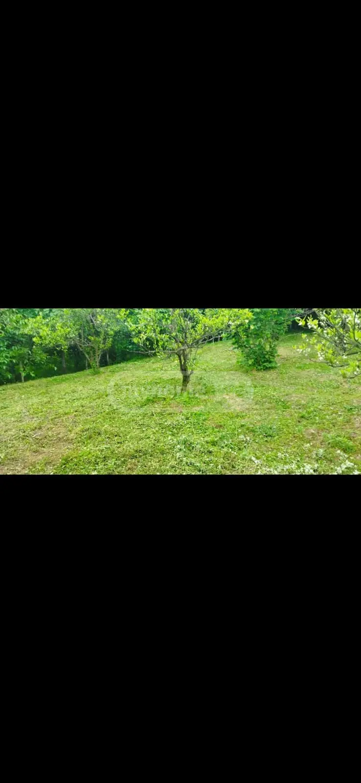 For Sale Sainvestitsio Land Plot Khelvachauris Munitsipalitetshi view 4