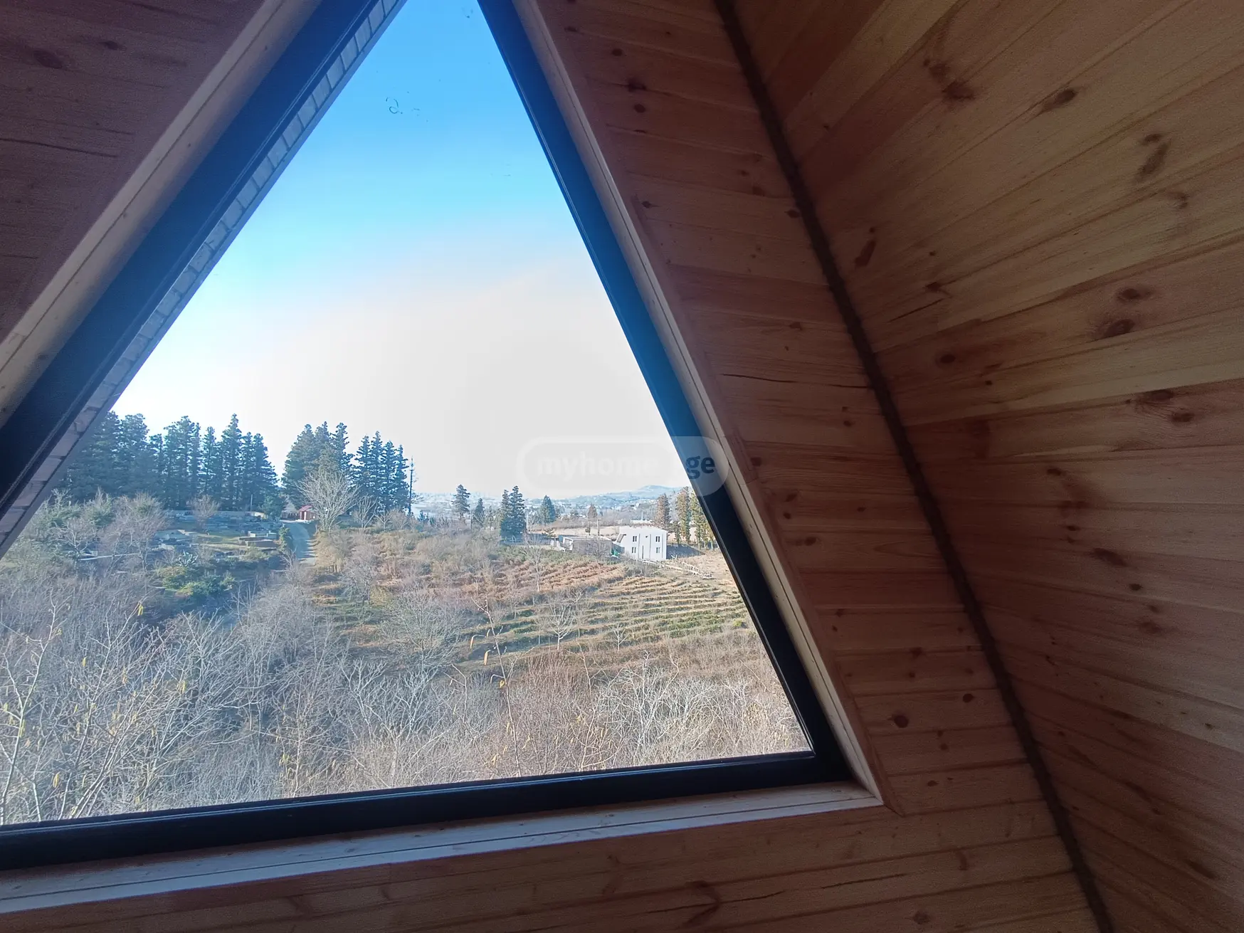 For Sale Sasoplo-Sameurneo Land Plot In Batumi view 7